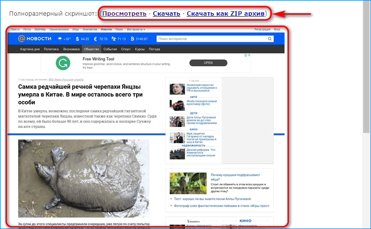 Сохранение скриншота в Web Capture